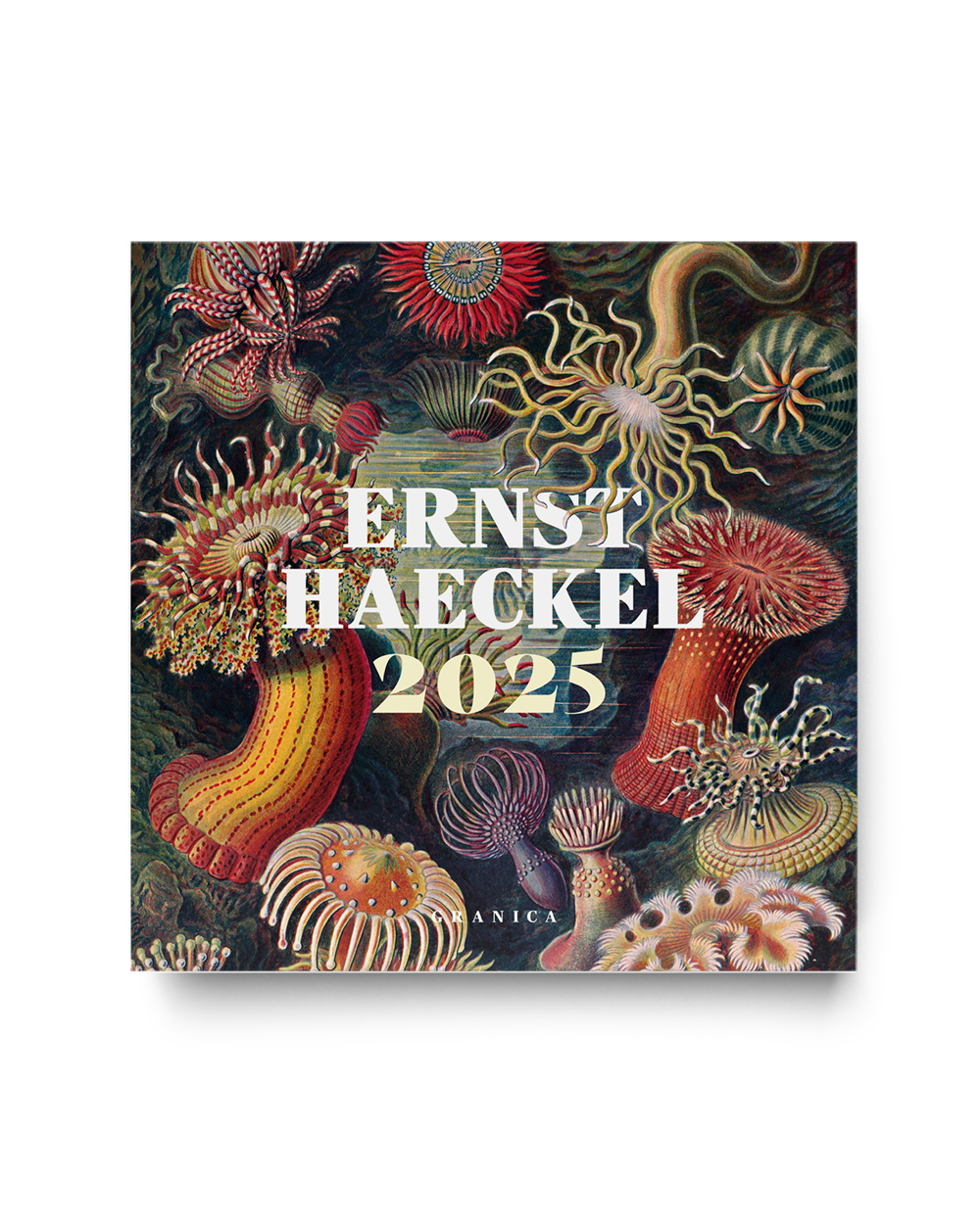 Ernst Haeckel - Calendario Pared 